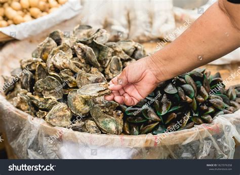 talaba clipart|18 Talaba Images, Stock Photos & Vectors .